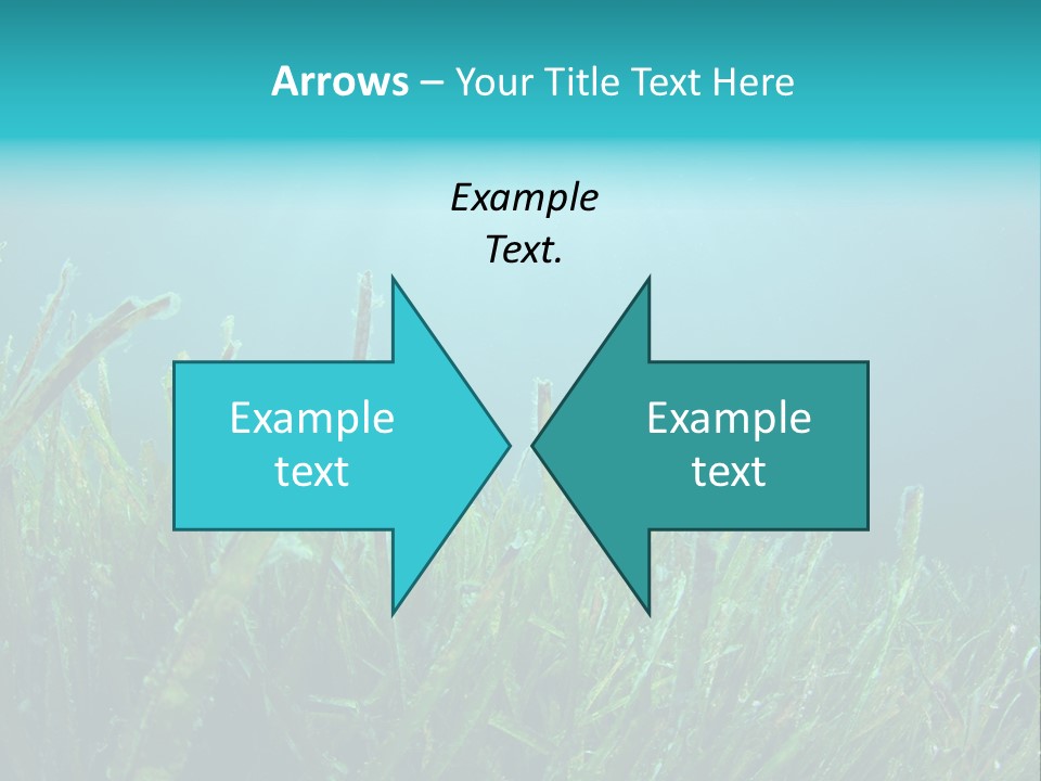 Water Nature Seascape PowerPoint Template