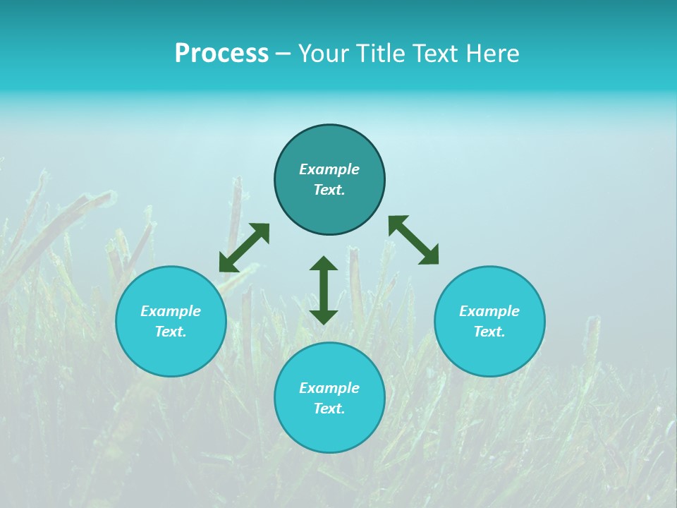 Water Nature Seascape PowerPoint Template
