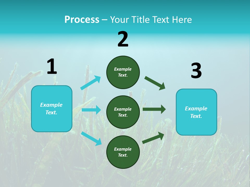 Water Nature Seascape PowerPoint Template