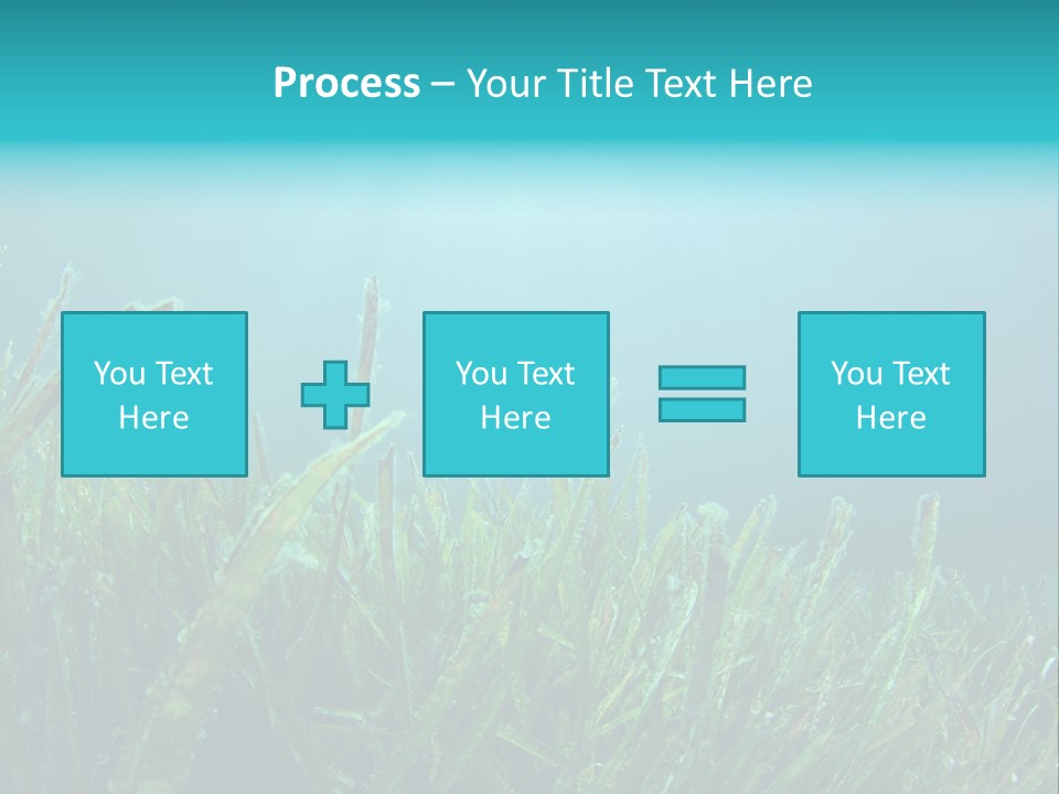 Water Nature Seascape PowerPoint Template