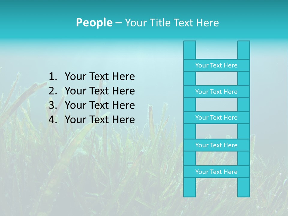 Water Nature Seascape PowerPoint Template