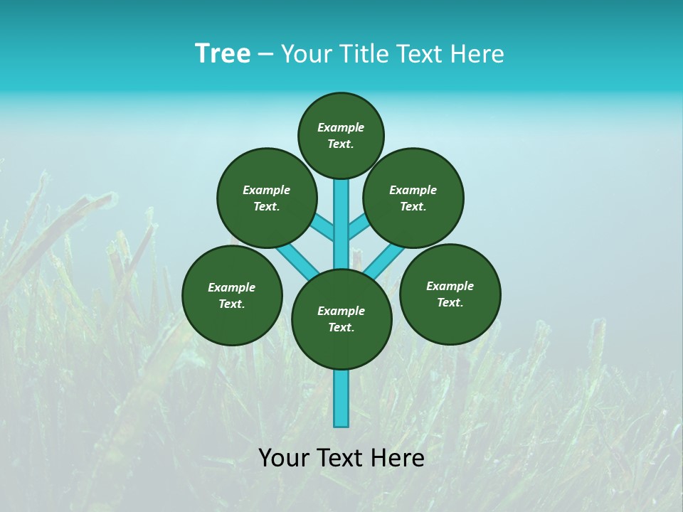 Water Nature Seascape PowerPoint Template