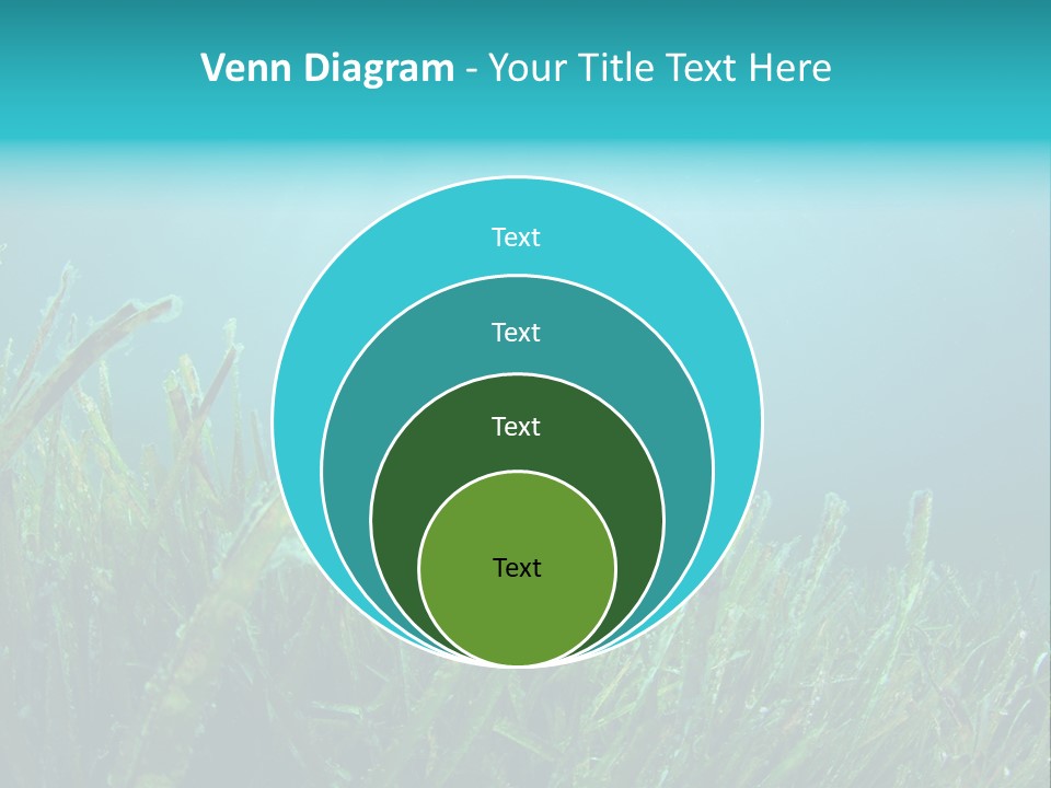 Water Nature Seascape PowerPoint Template