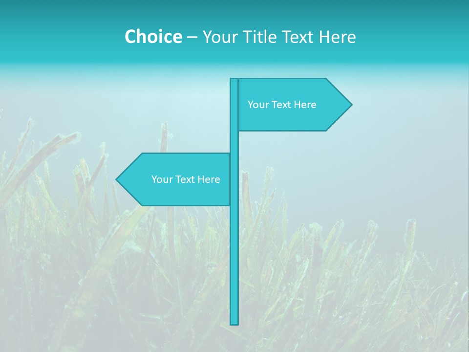 Water Nature Seascape PowerPoint Template