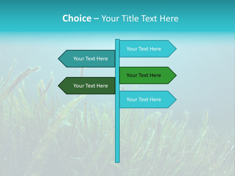 Water Nature Seascape PowerPoint Template