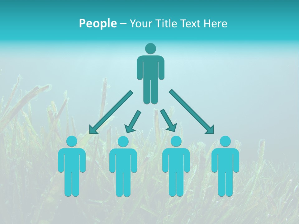 Water Nature Seascape PowerPoint Template