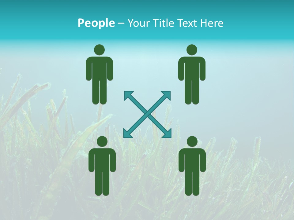 Water Nature Seascape PowerPoint Template