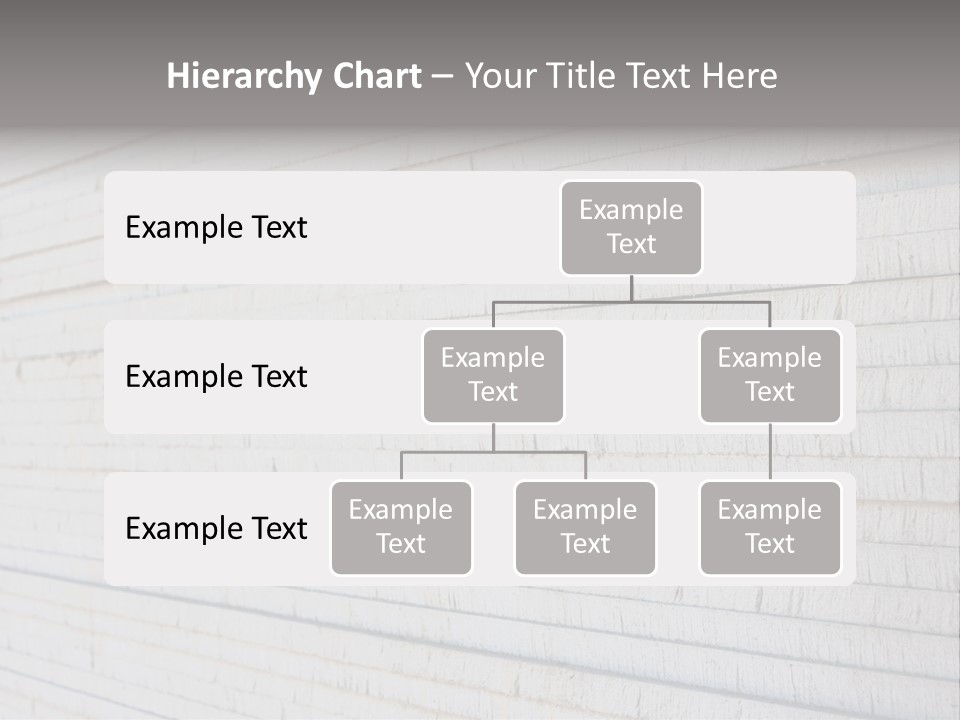 Wall Plasterboard Sheetrock PowerPoint Template