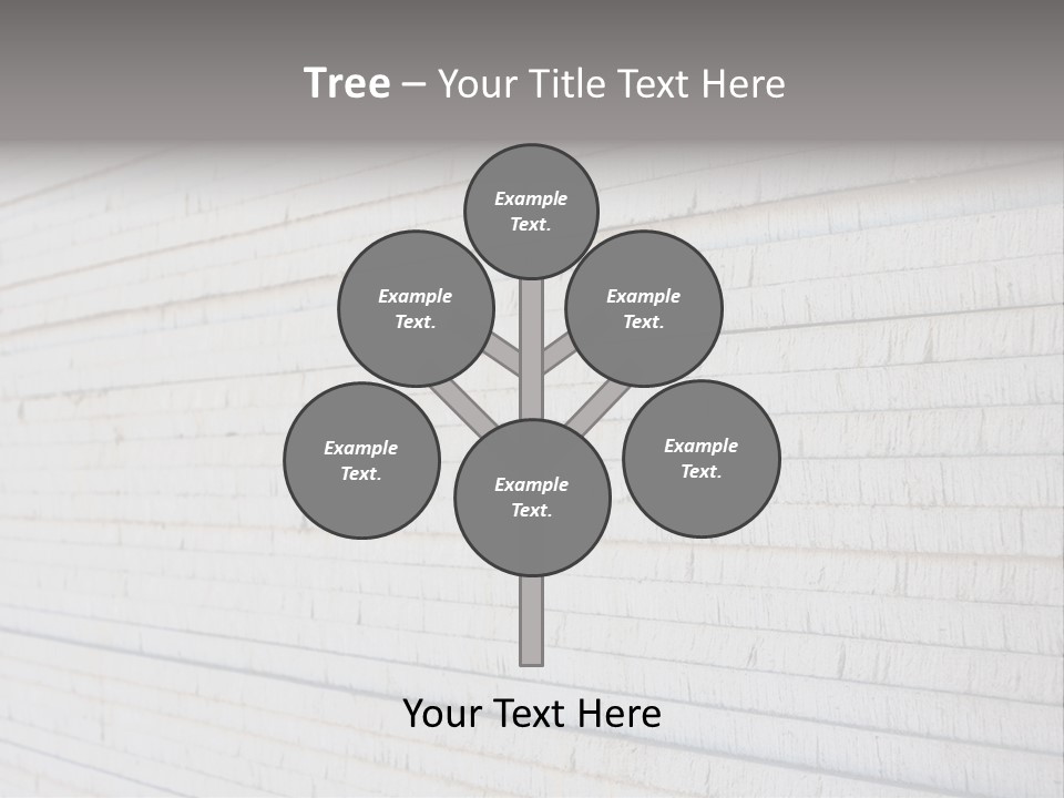 Wall Plasterboard Sheetrock PowerPoint Template