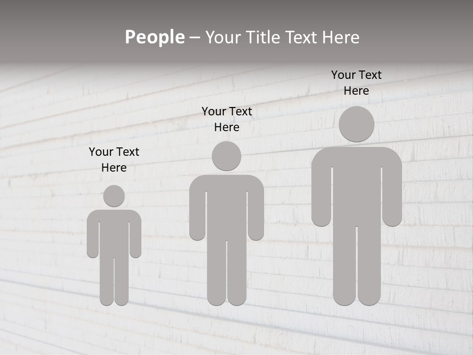 Wall Plasterboard Sheetrock PowerPoint Template