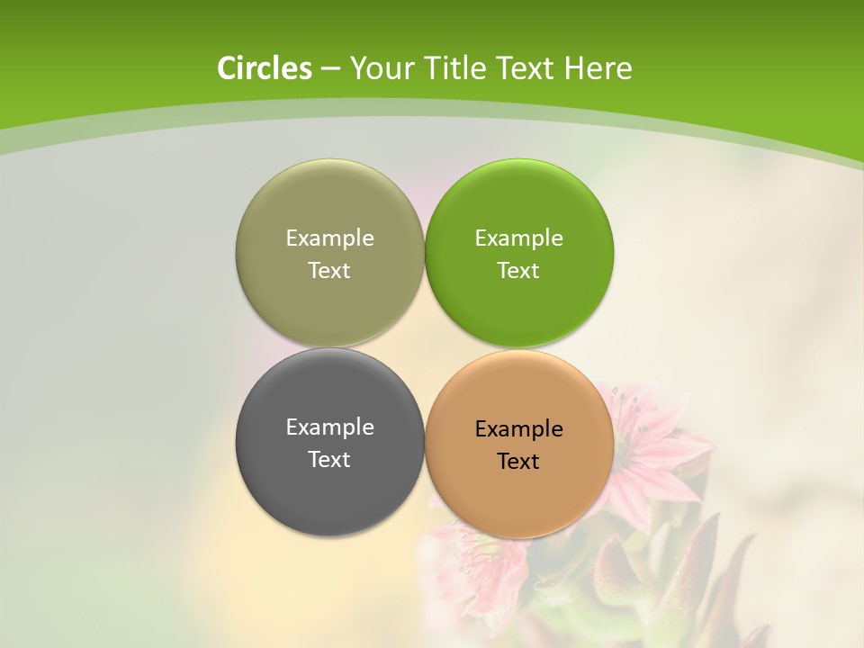 A Picture Of A Flower With A Green Background PowerPoint Template