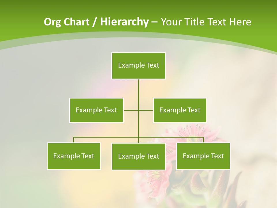 A Picture Of A Flower With A Green Background PowerPoint Template