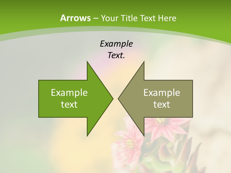 A Picture Of A Flower With A Green Background PowerPoint Template