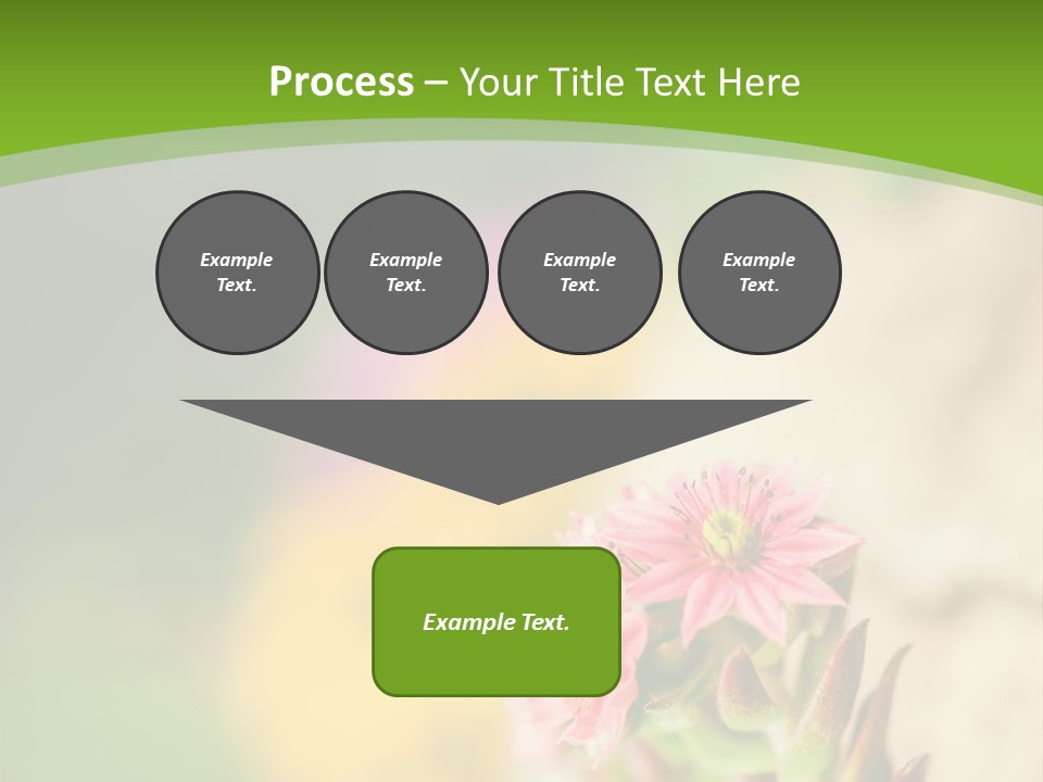 A Picture Of A Flower With A Green Background PowerPoint Template