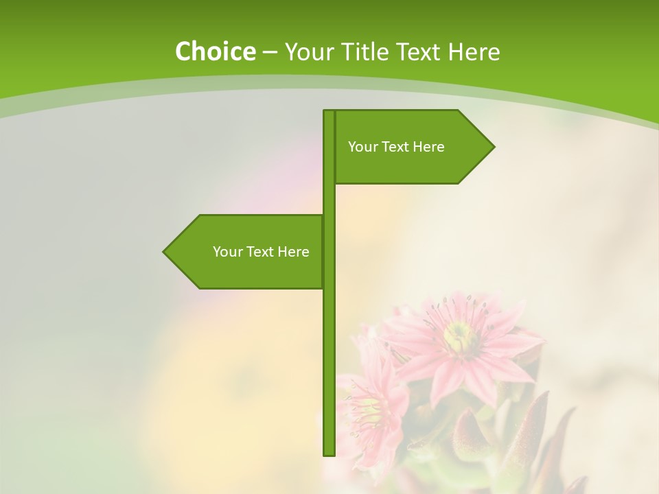 A Picture Of A Flower With A Green Background PowerPoint Template