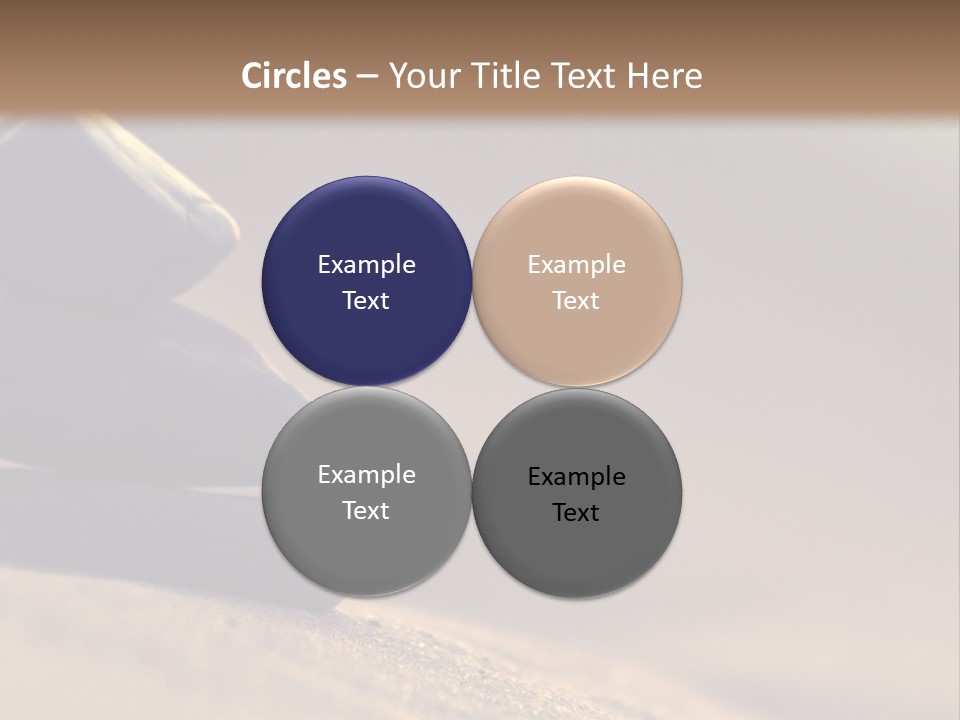 Marine Animals Underwater Marine Life PowerPoint Template