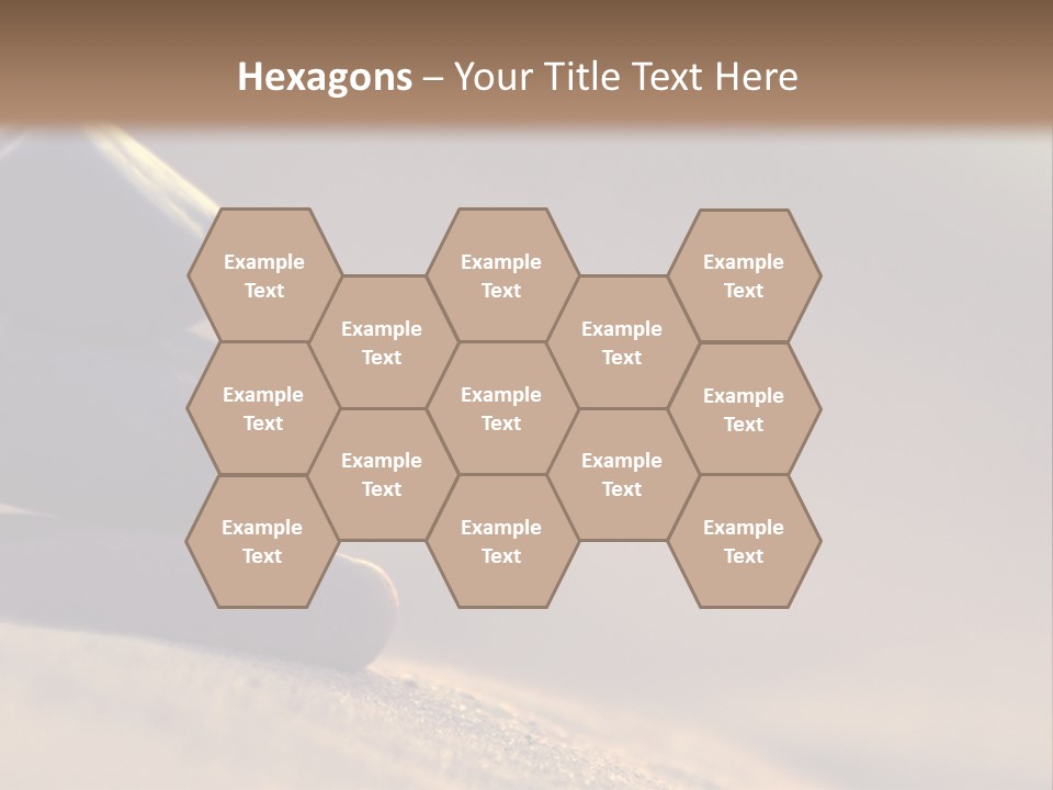 Marine Animals Underwater Marine Life PowerPoint Template