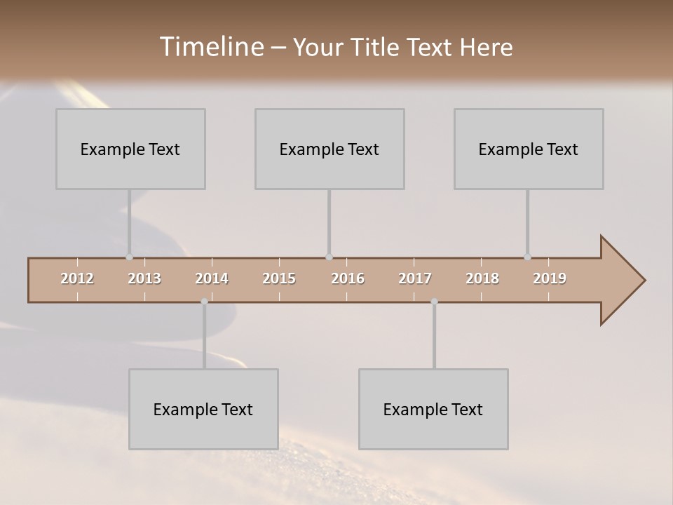 Marine Animals Underwater Marine Life PowerPoint Template