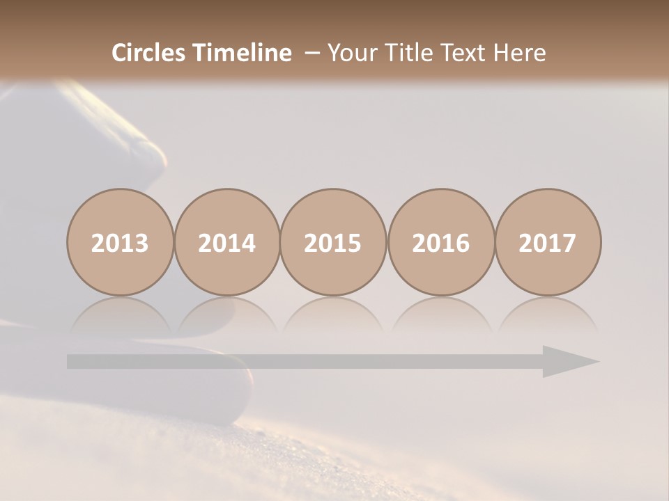 Marine Animals Underwater Marine Life PowerPoint Template