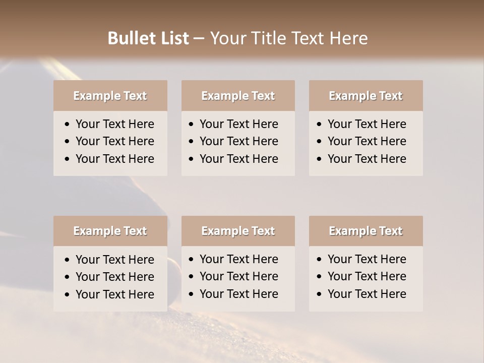 Marine Animals Underwater Marine Life PowerPoint Template