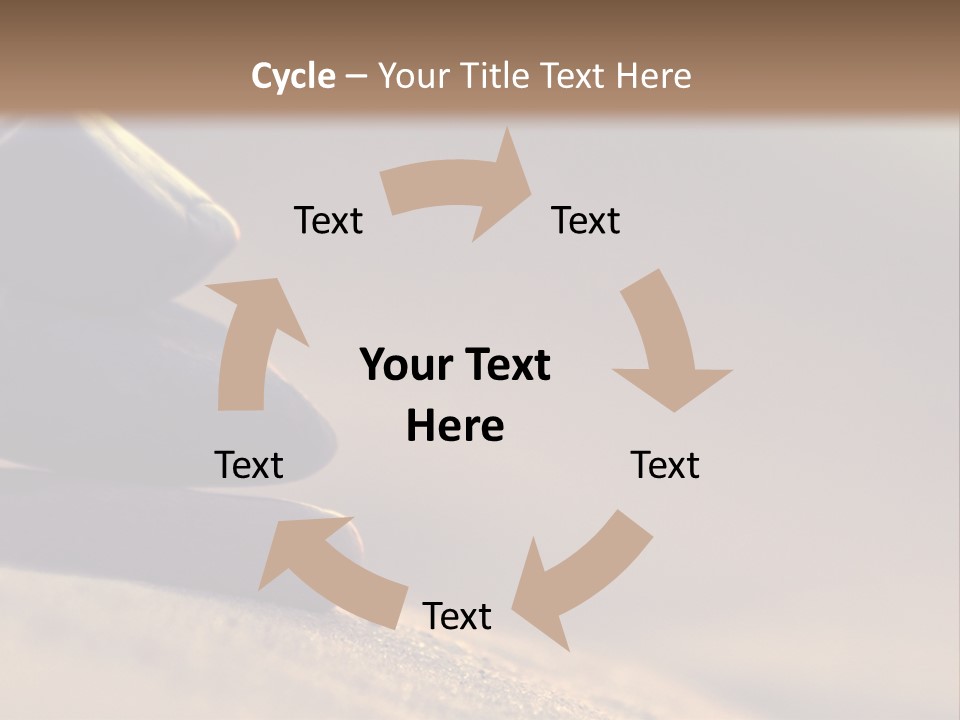 Marine Animals Underwater Marine Life PowerPoint Template