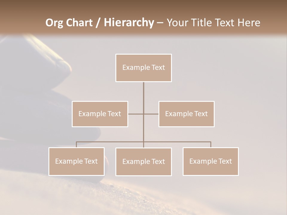 Marine Animals Underwater Marine Life PowerPoint Template