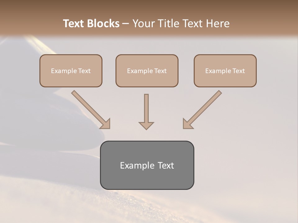 Marine Animals Underwater Marine Life PowerPoint Template