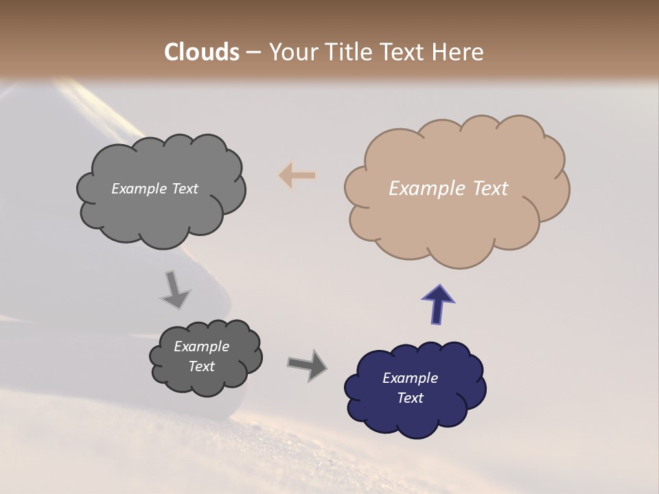 Marine Animals Underwater Marine Life PowerPoint Template