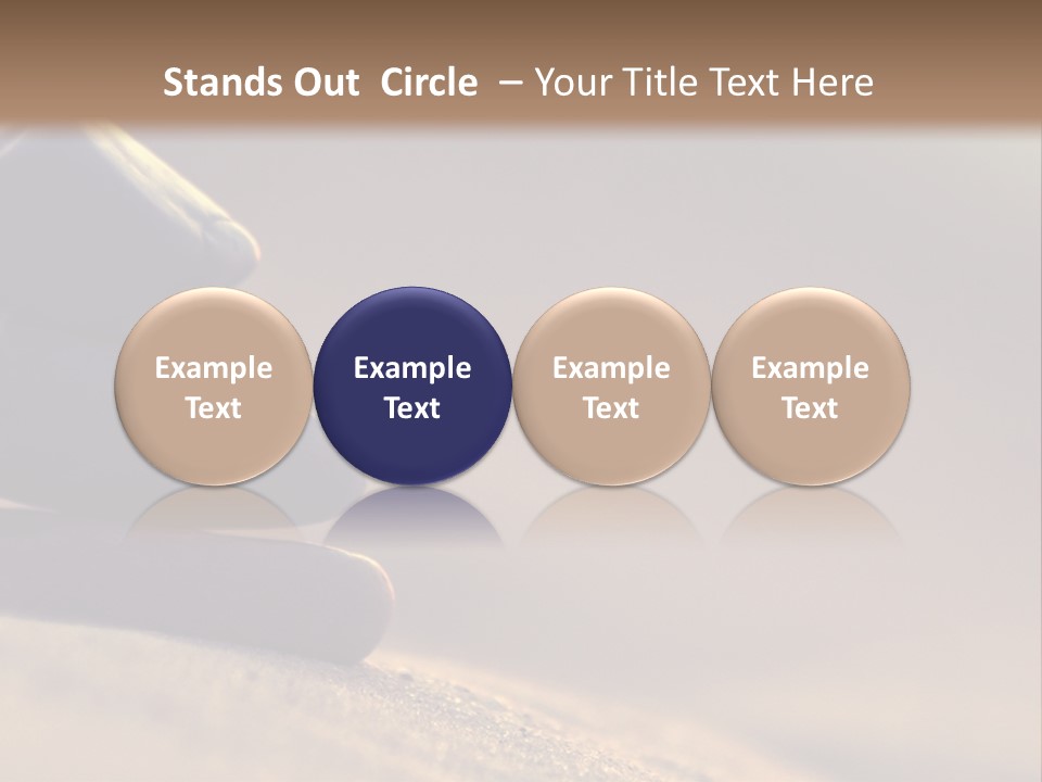 Marine Animals Underwater Marine Life PowerPoint Template