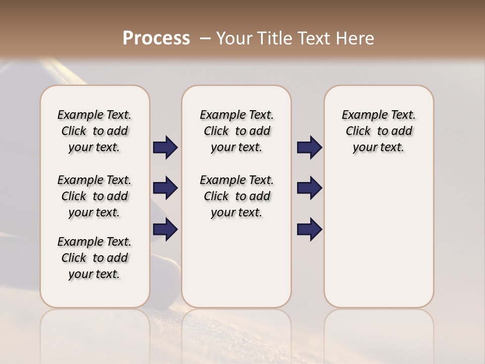Marine Animals Underwater Marine Life PowerPoint Template