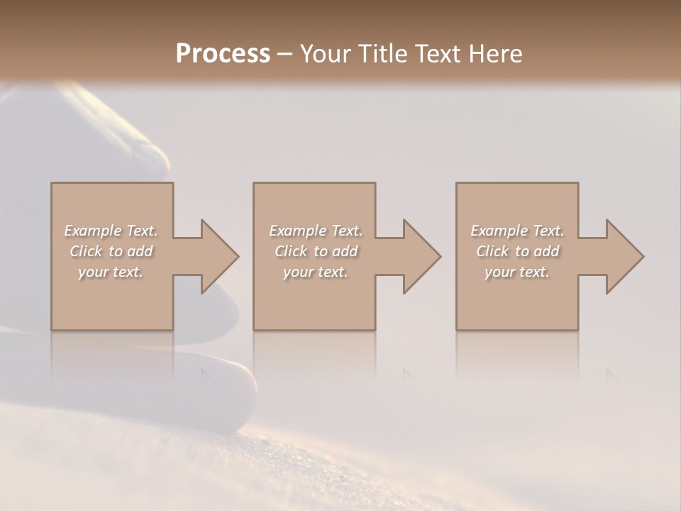 Marine Animals Underwater Marine Life PowerPoint Template