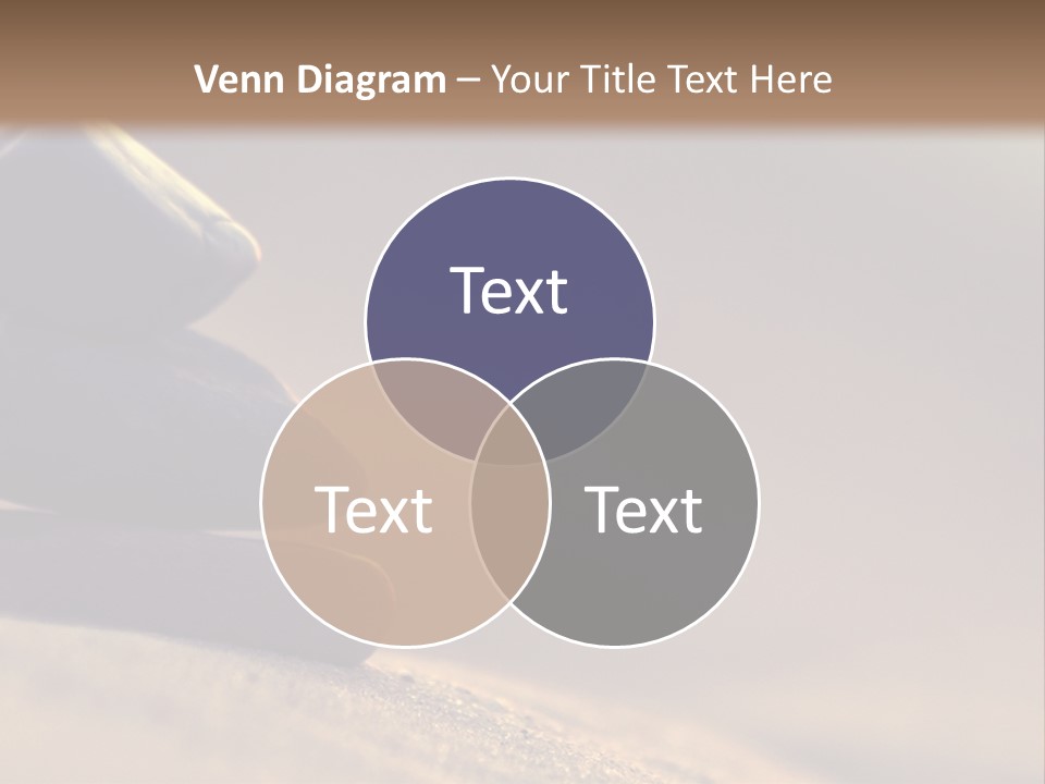 Marine Animals Underwater Marine Life PowerPoint Template