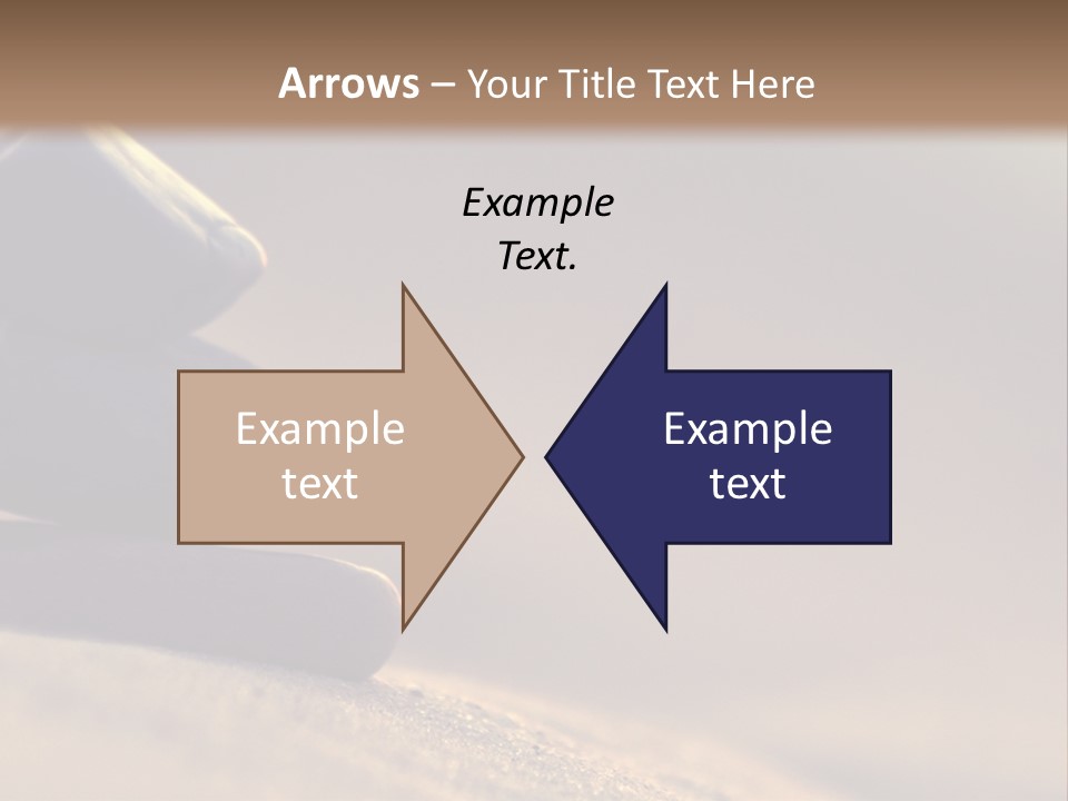 Marine Animals Underwater Marine Life PowerPoint Template