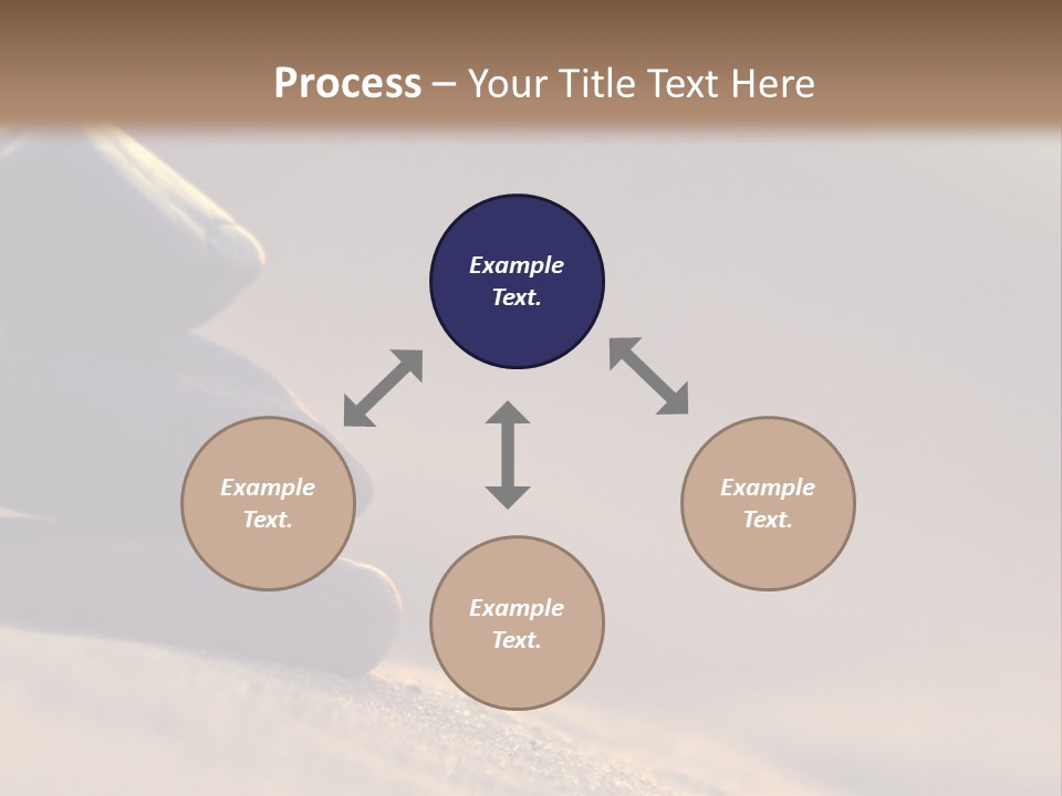 Marine Animals Underwater Marine Life PowerPoint Template