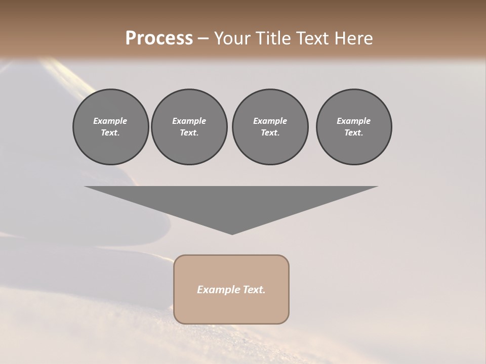 Marine Animals Underwater Marine Life PowerPoint Template