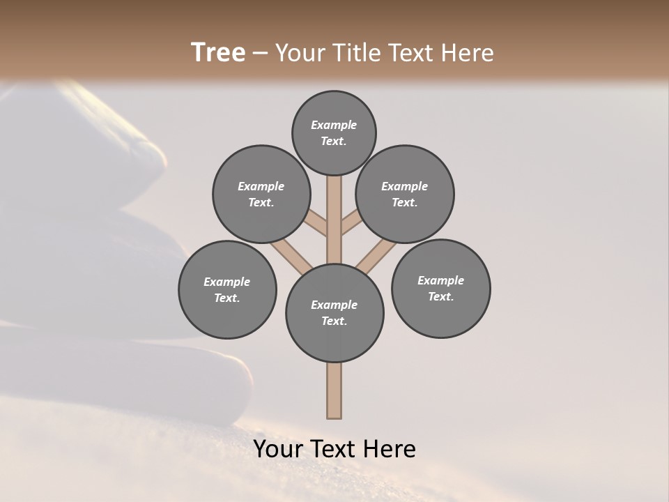 Marine Animals Underwater Marine Life PowerPoint Template