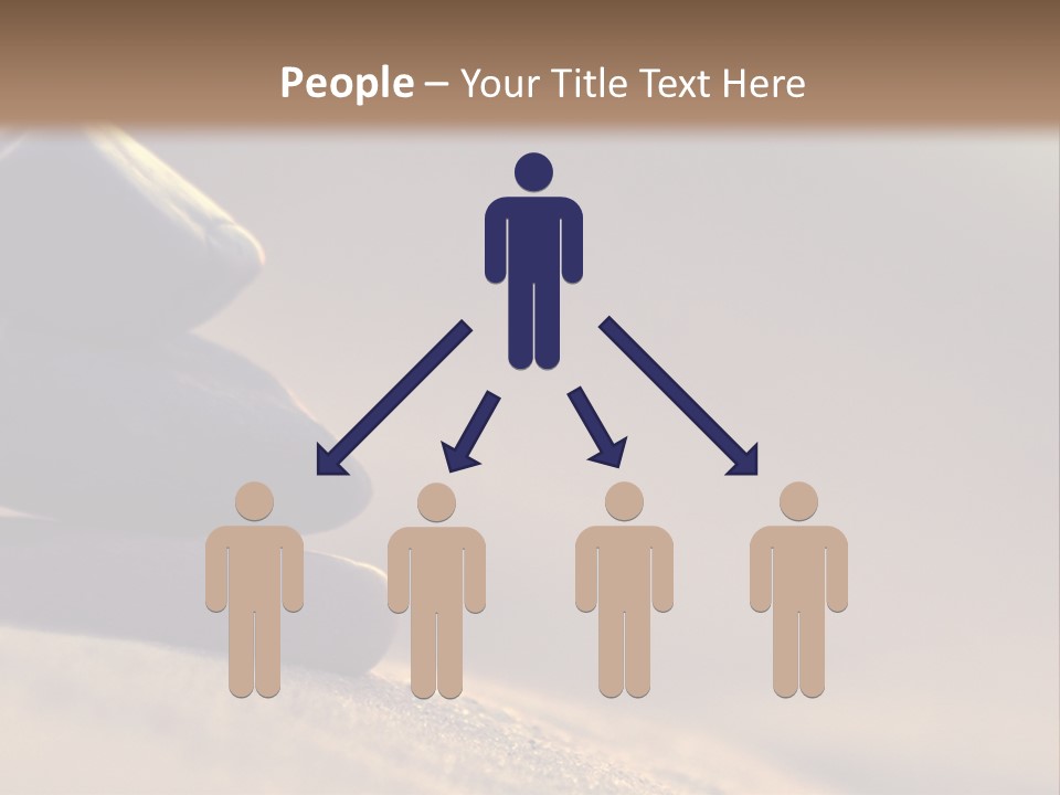 Marine Animals Underwater Marine Life PowerPoint Template