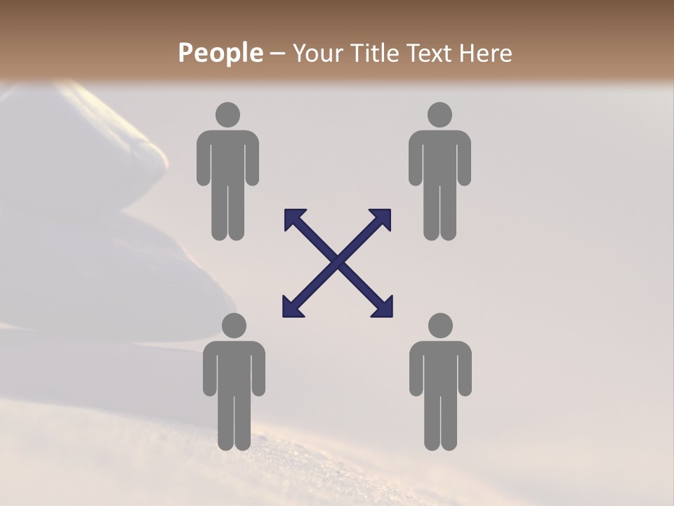 Marine Animals Underwater Marine Life PowerPoint Template