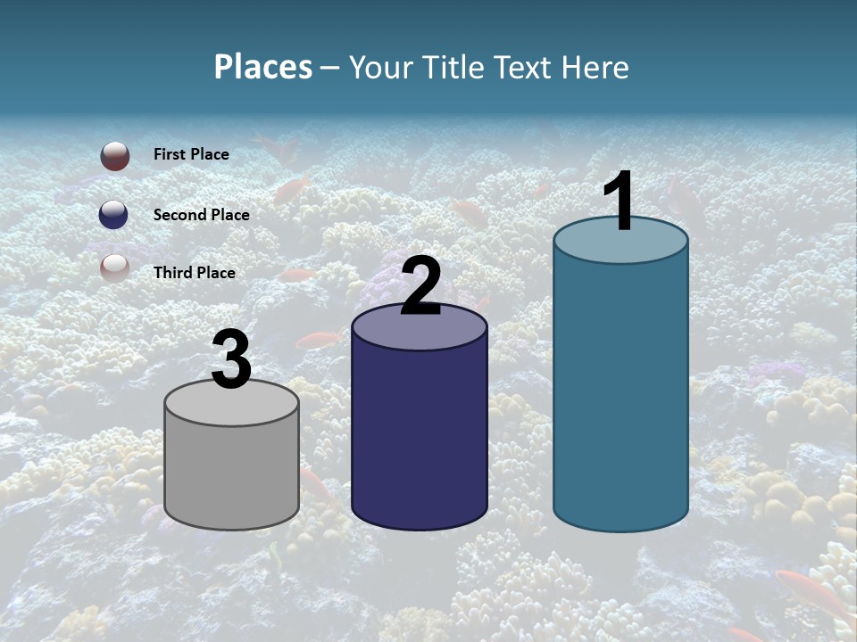 Marine Animals Underwater Marine Life PowerPoint Template