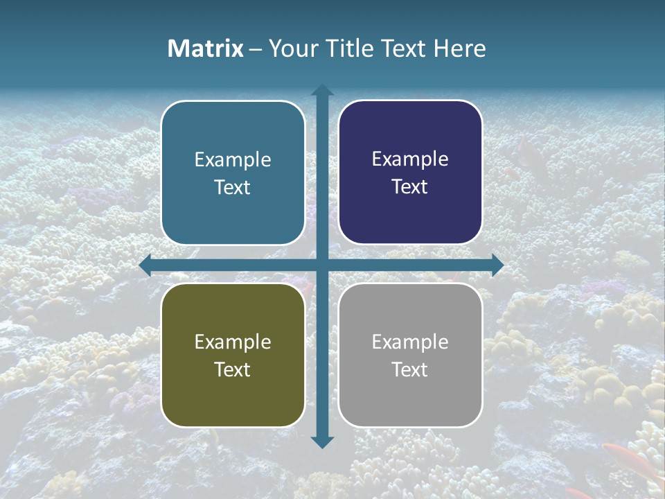 Marine Animals Underwater Marine Life PowerPoint Template