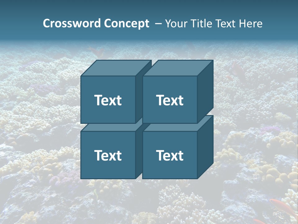 Marine Animals Underwater Marine Life PowerPoint Template