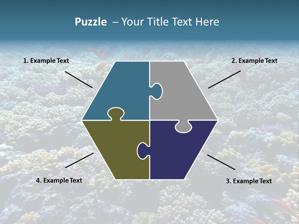 Marine Animals Underwater Marine Life PowerPoint Template