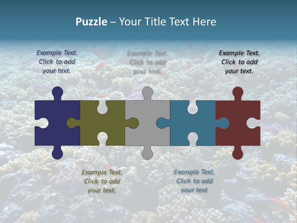 Marine Animals Underwater Marine Life PowerPoint Template