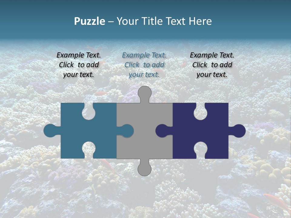 Marine Animals Underwater Marine Life PowerPoint Template