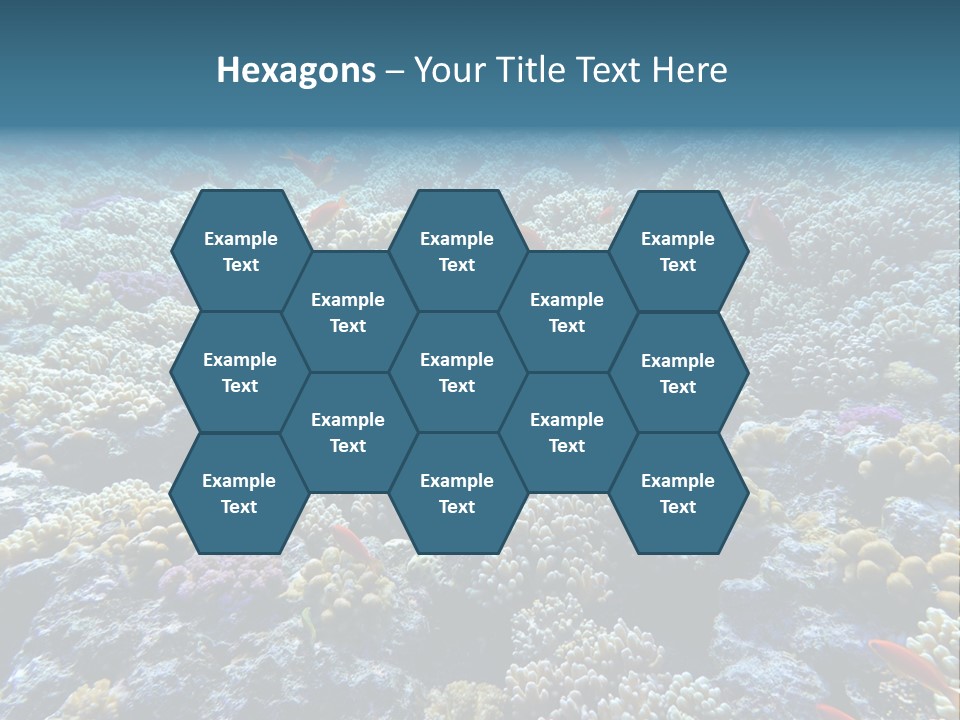 Marine Animals Underwater Marine Life PowerPoint Template