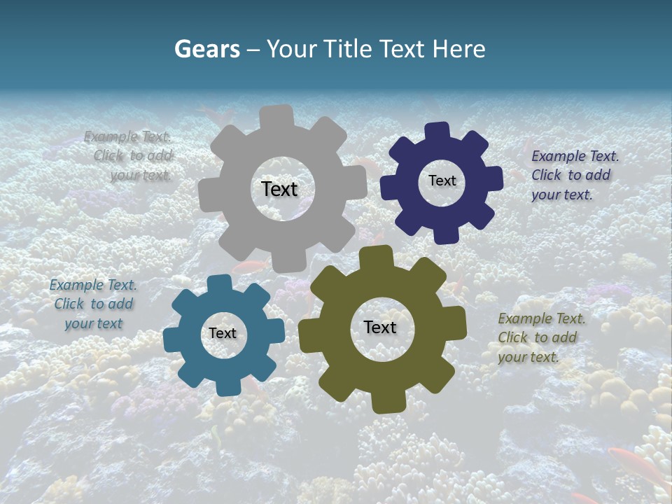 Marine Animals Underwater Marine Life PowerPoint Template
