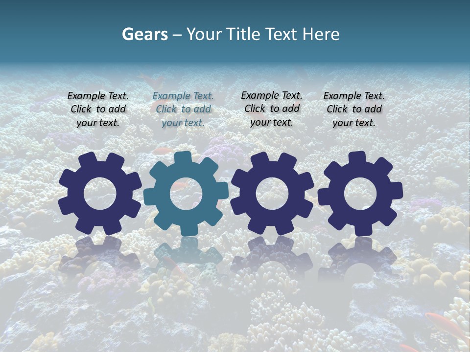 Marine Animals Underwater Marine Life PowerPoint Template