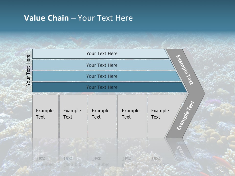 Marine Animals Underwater Marine Life PowerPoint Template