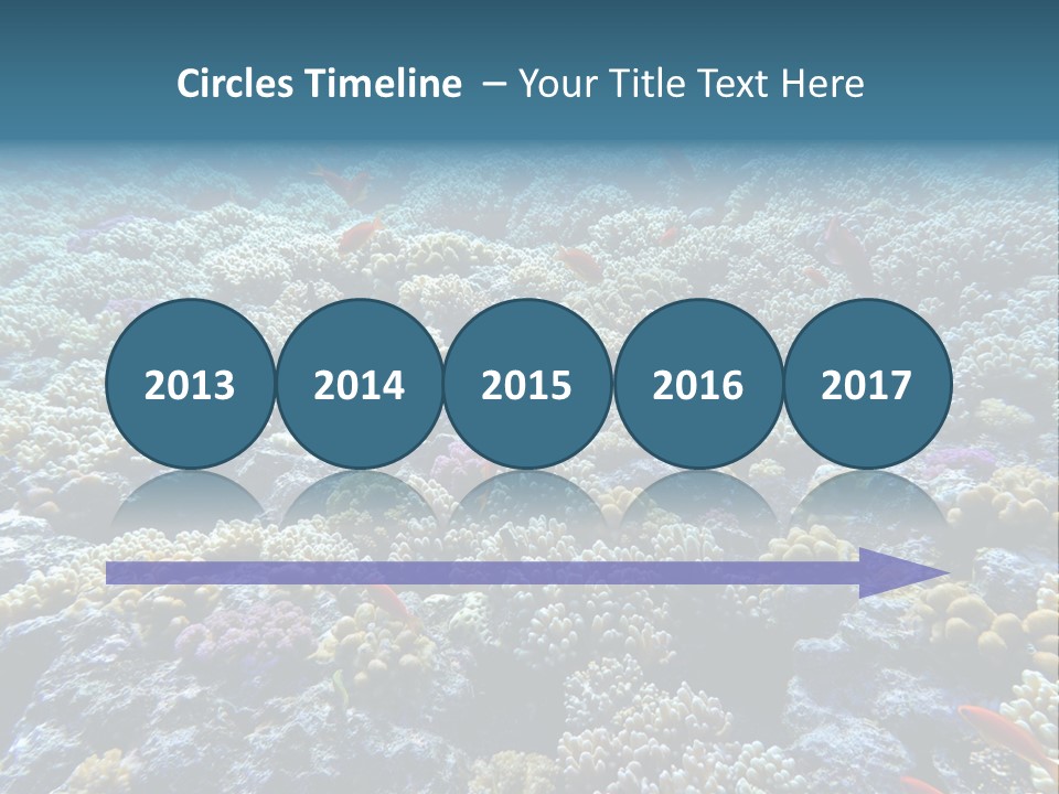 Marine Animals Underwater Marine Life PowerPoint Template