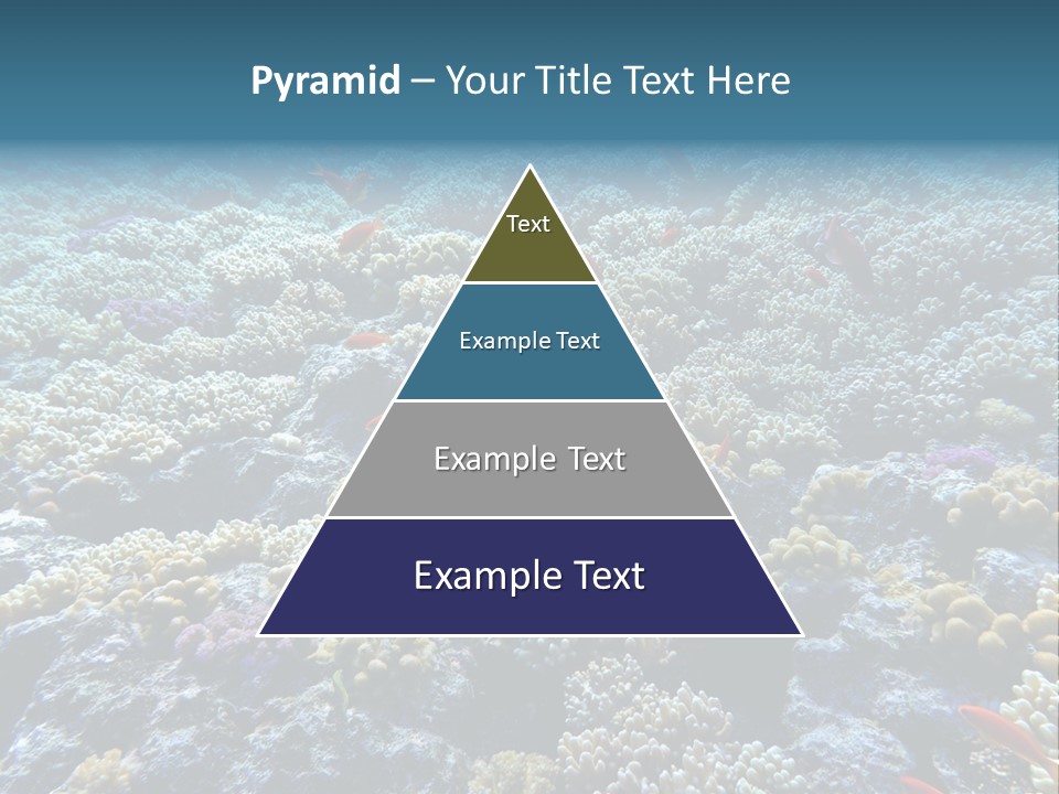 Marine Animals Underwater Marine Life PowerPoint Template